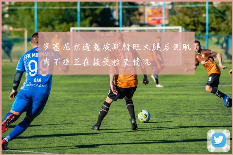 罗塞尼尔透露埃斯特旺大腿后侧肌肉不适正在接受检查情况