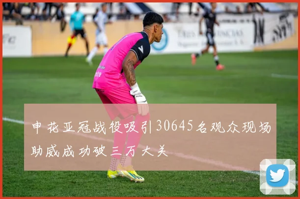申花亚冠战役吸引30645名观众现场助威成功破三万大关