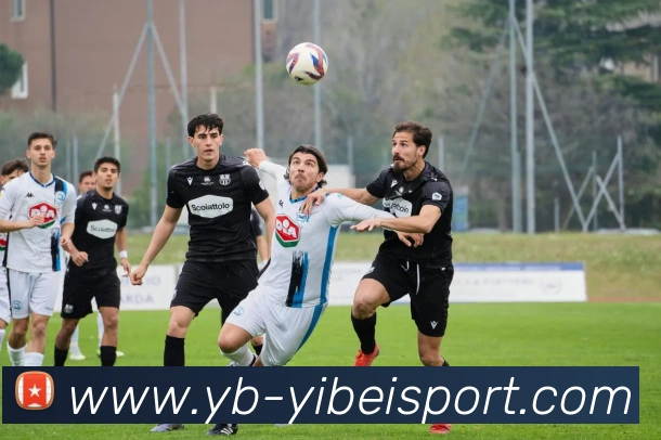 易倍体育APP 高清赛事图