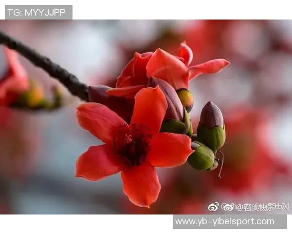 浙江队感恩卡内达辛勤付出祝福未来一切顺利 浙江队感恩卡内达辛勤付出祝福未来一切顺利